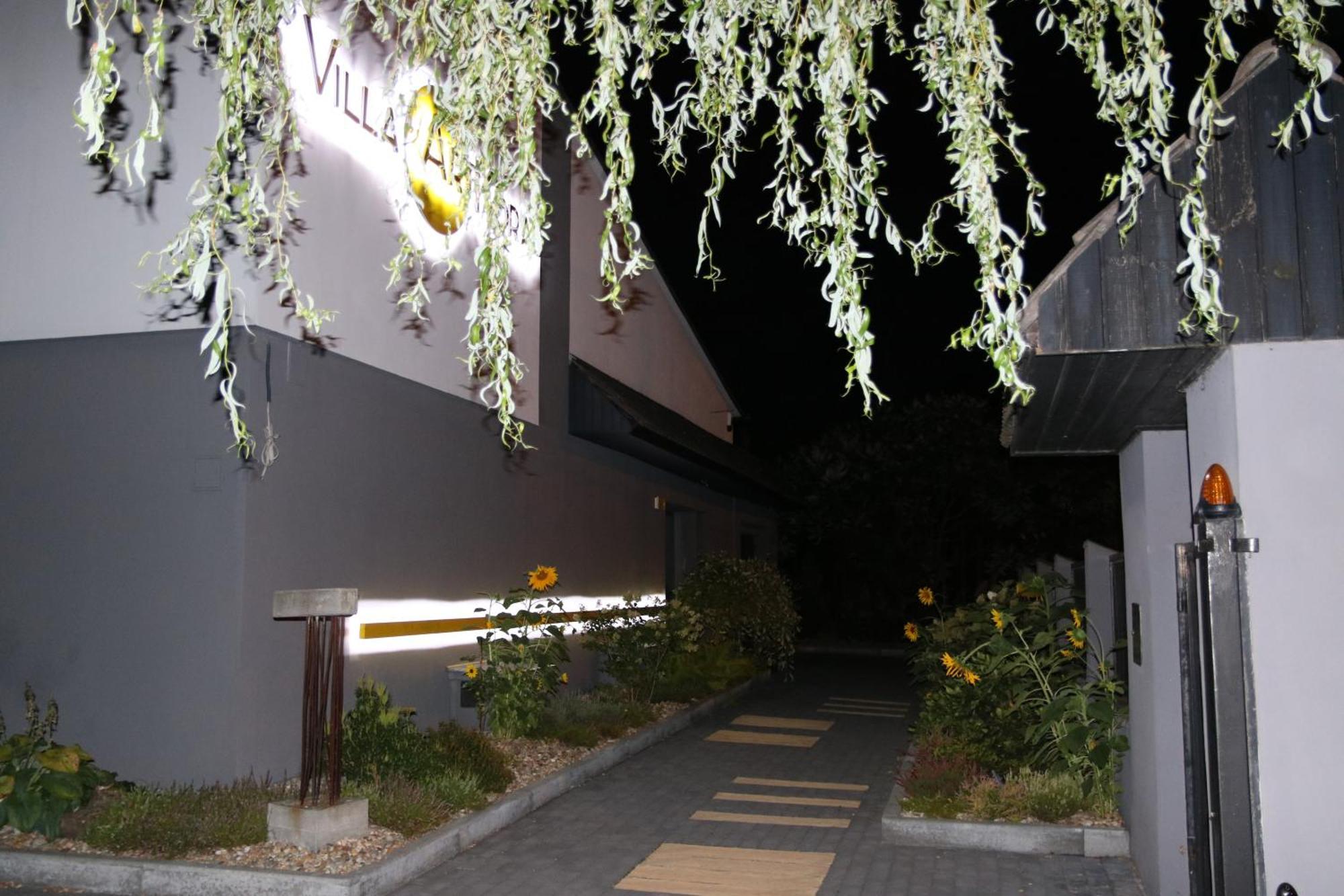 גליביצ'ה Villa Art Korab מראה חיצוני תמונה