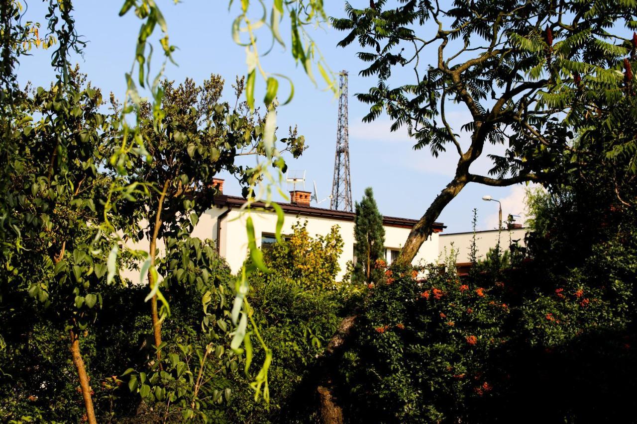 גליביצ'ה Villa Art Korab מראה חיצוני תמונה